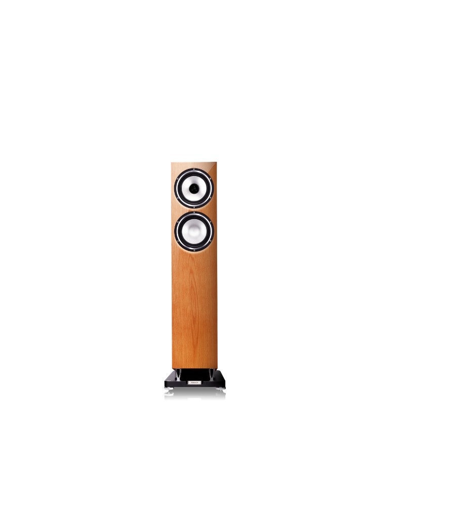speaker-1